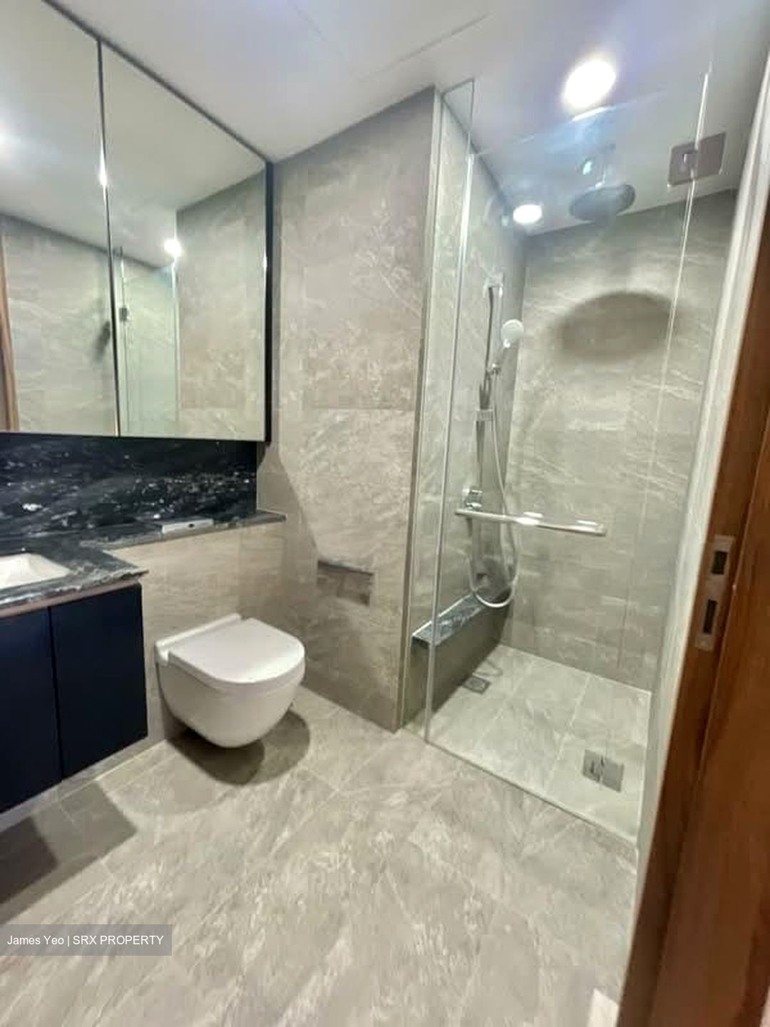 Daintree Residence (D21), Condominium #558976681